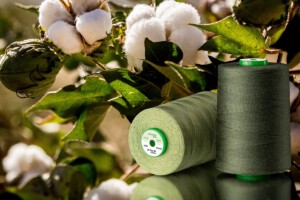 Das Garn Lifecycle Cotton von AMANN